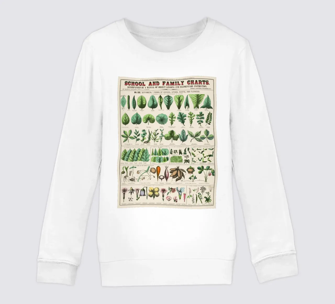 Poster botanico di piante felpa bambino da 🎁 ARTVI-SHOP