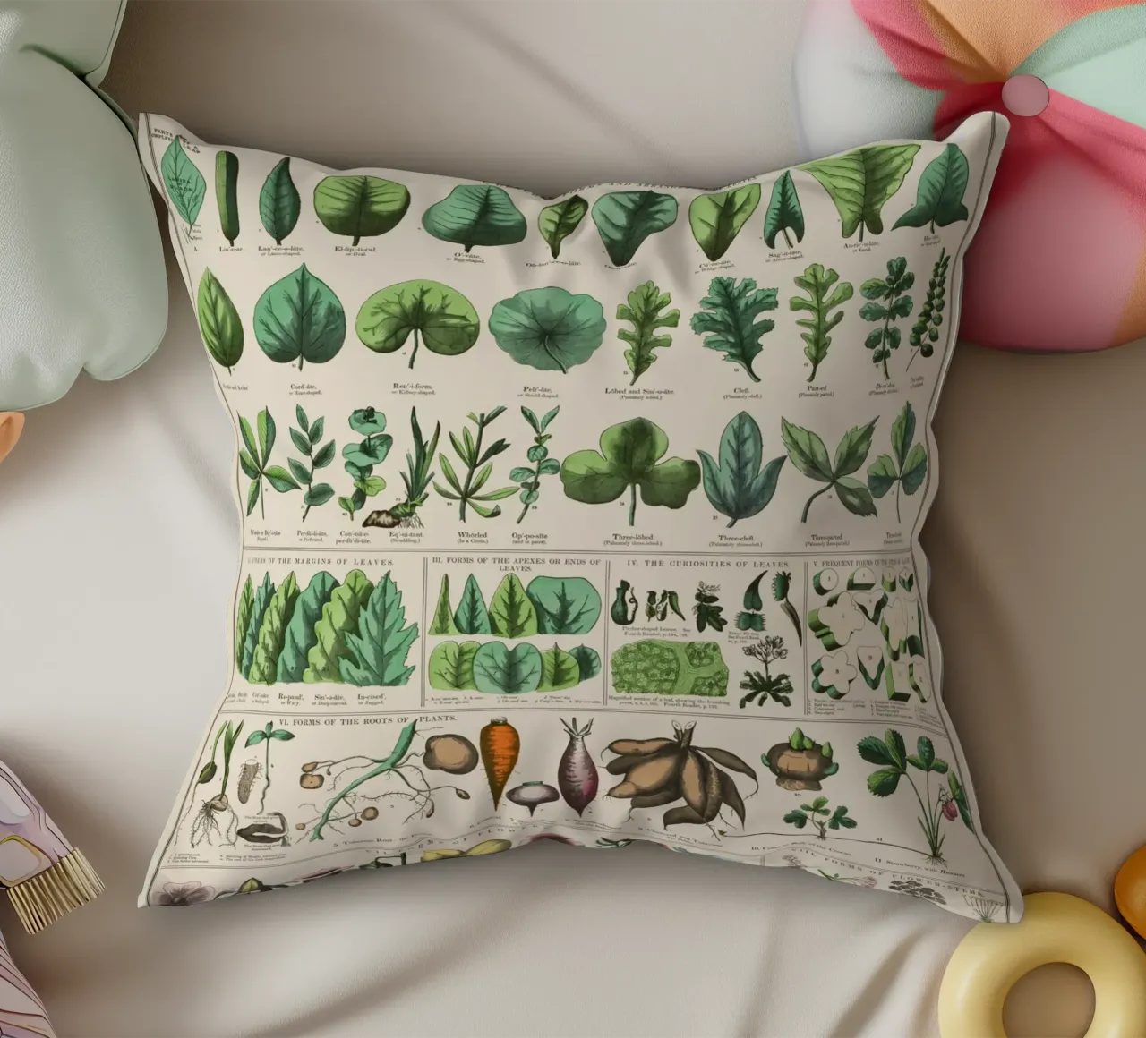 Poster botanico di piante cuscino da 🎁 ARTVI-SHOP