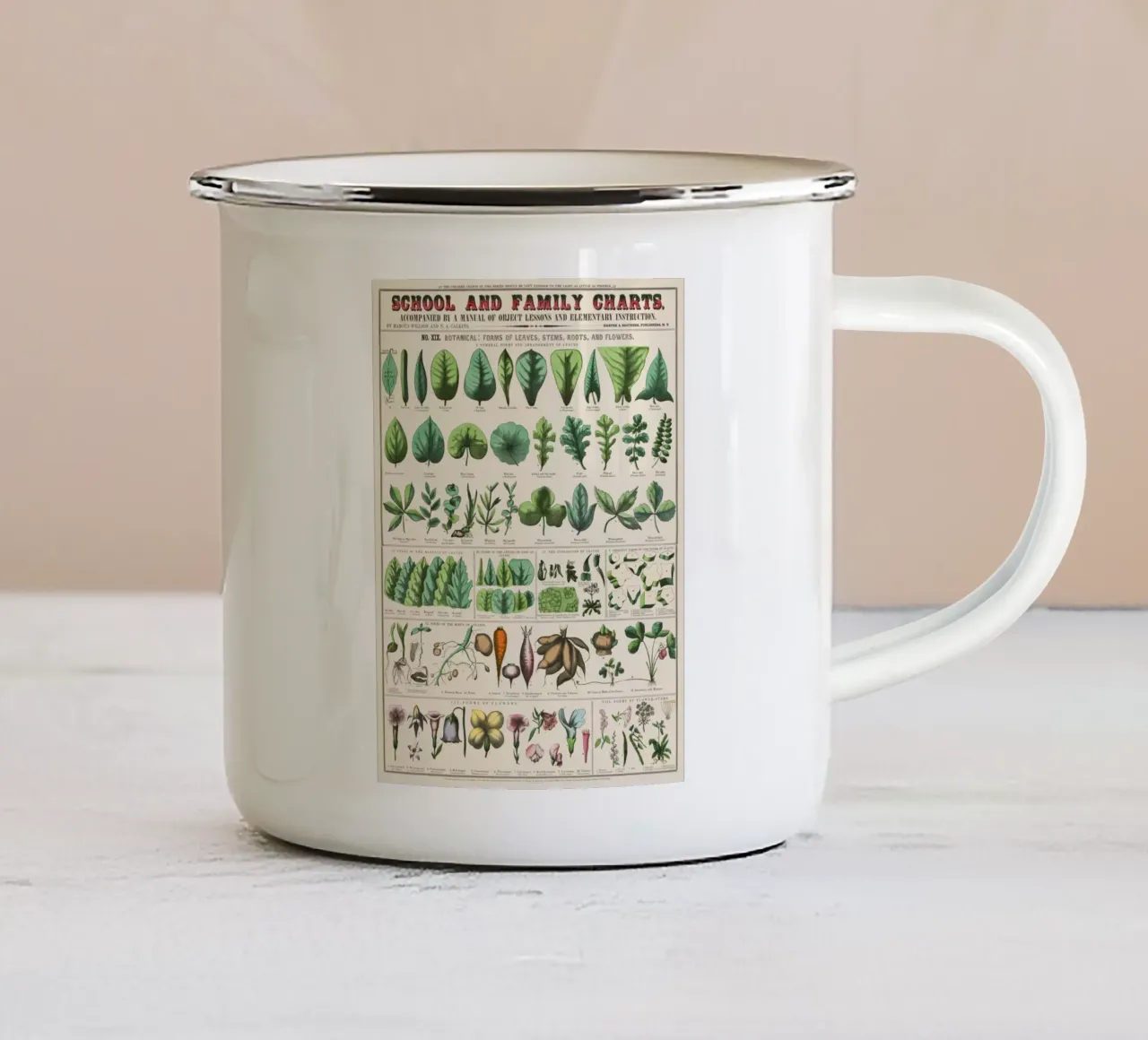 Poster botanico di piante tazza in smalto da 🎁 ARTVI-SHOP