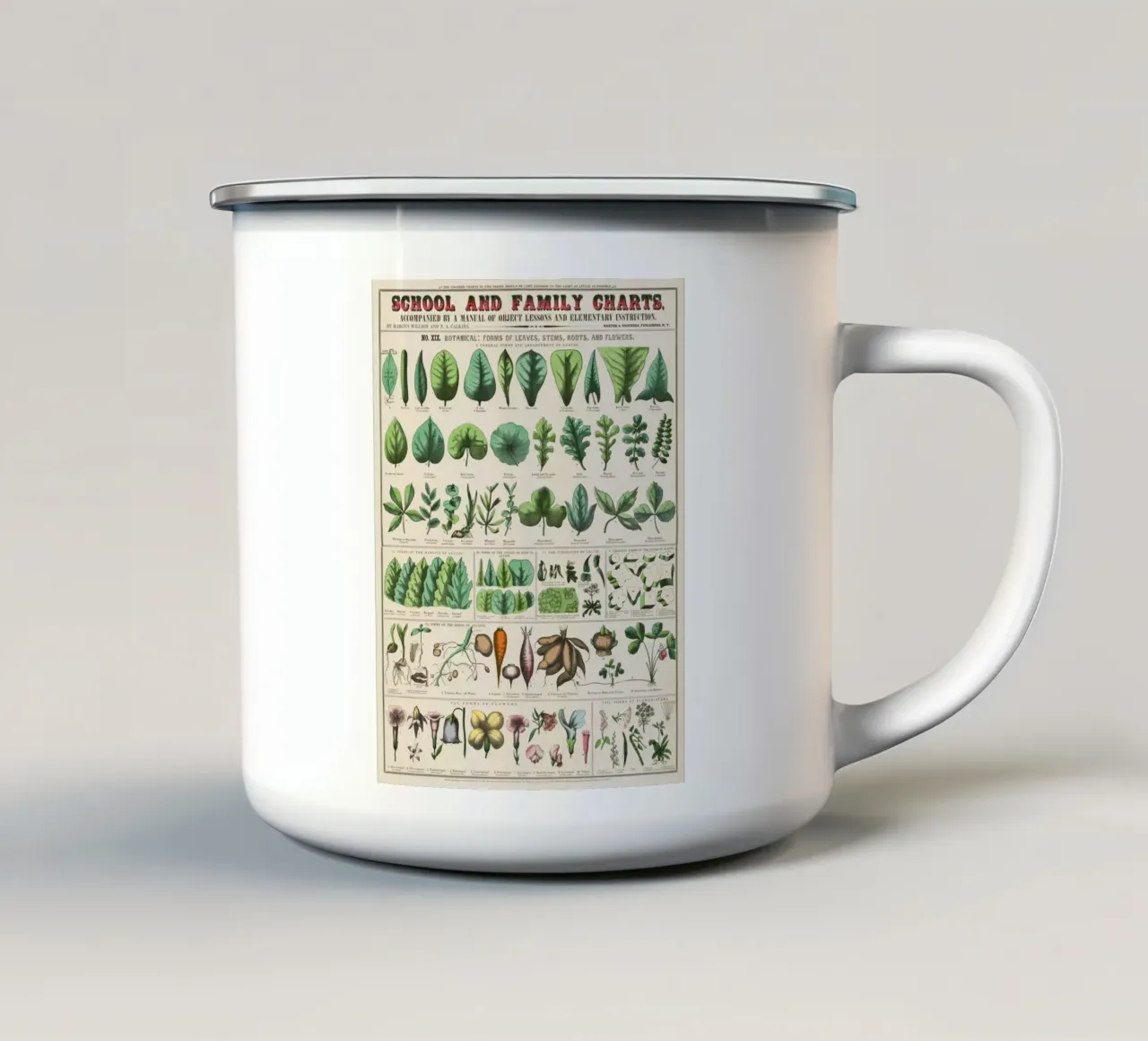 Poster botanico di piante tazza in smalto da 🎁 ARTVI-SHOP