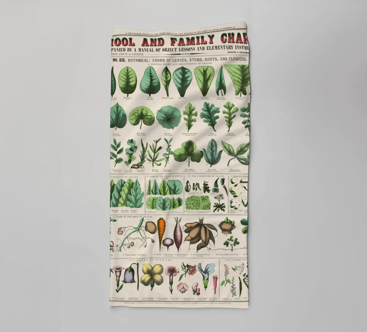 Poster botanico di piante asciugamano da bagno da 🎁 ARTVI-SHOP