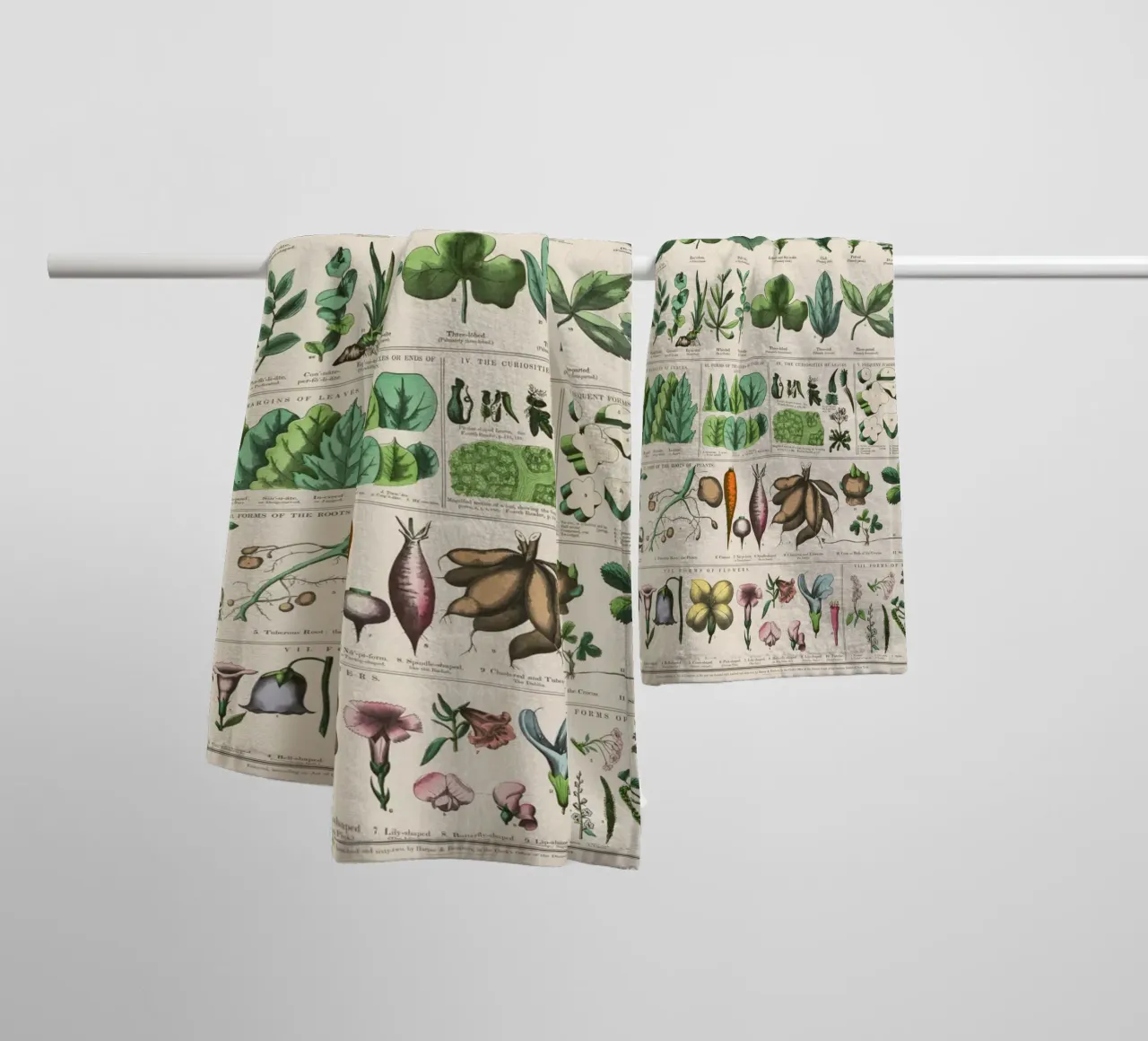 Poster botanico di piante asciugamano da bagno da 🎁 ARTVI-SHOP