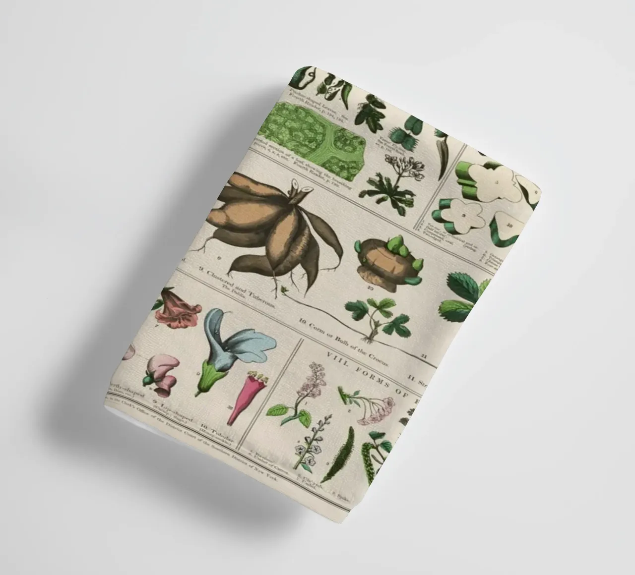 Poster botanico di piante asciugamano da bagno da 🎁 ARTVI-SHOP