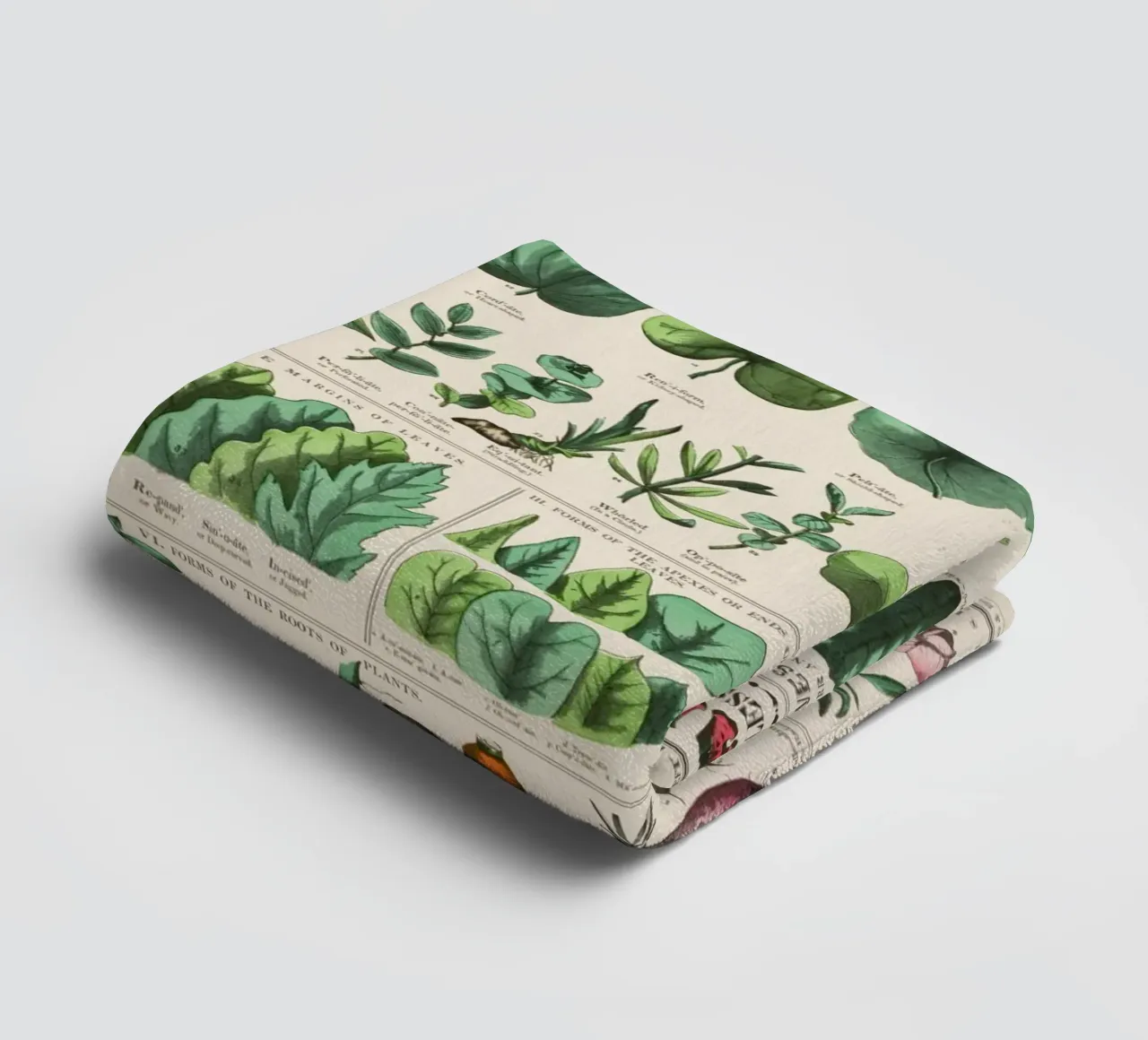 Poster botanico di piante asciugamano da bagno da 🎁 ARTVI-SHOP