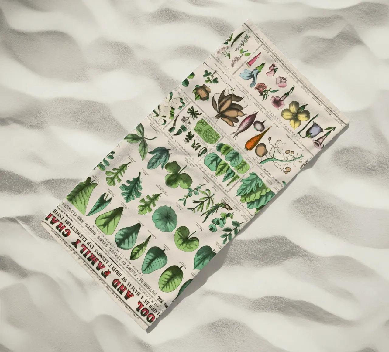 Poster botanico di piante telo mare da 🎁 ARTVI-SHOP