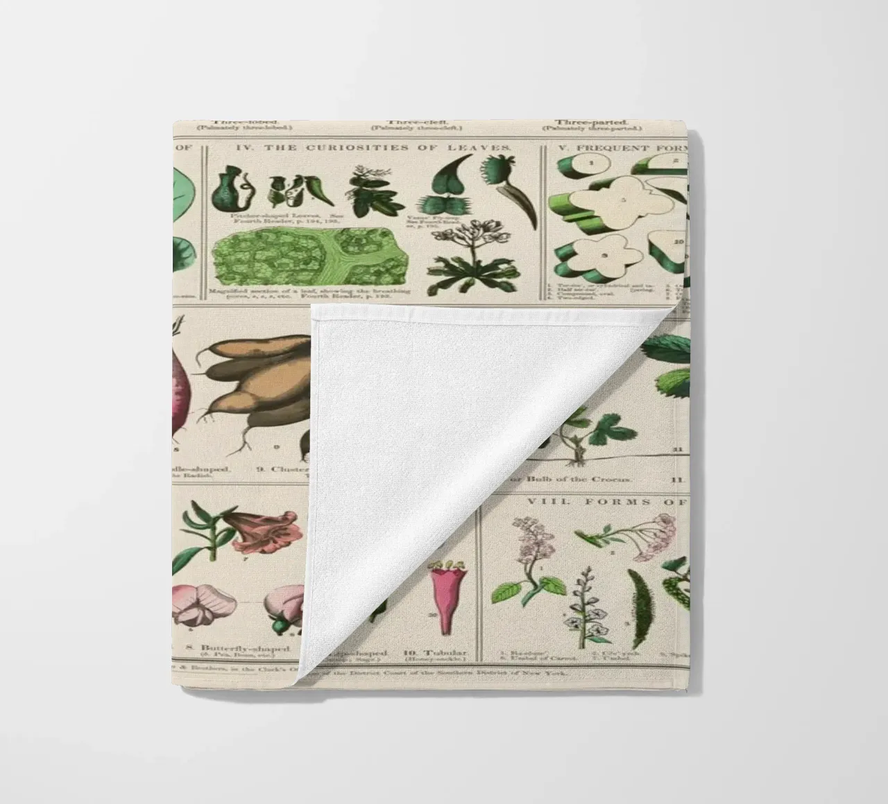 Poster botanico di piante telo mare da 🎁 ARTVI-SHOP