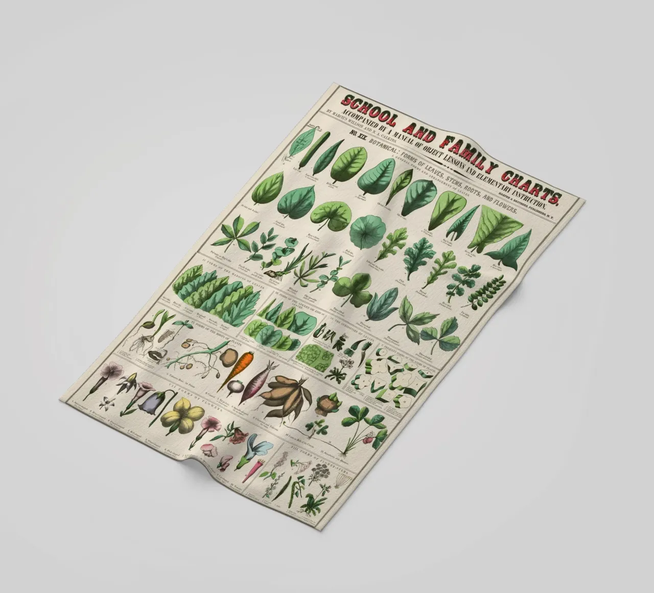 Poster botanico di piante telo mare da 🎁 ARTVI-SHOP