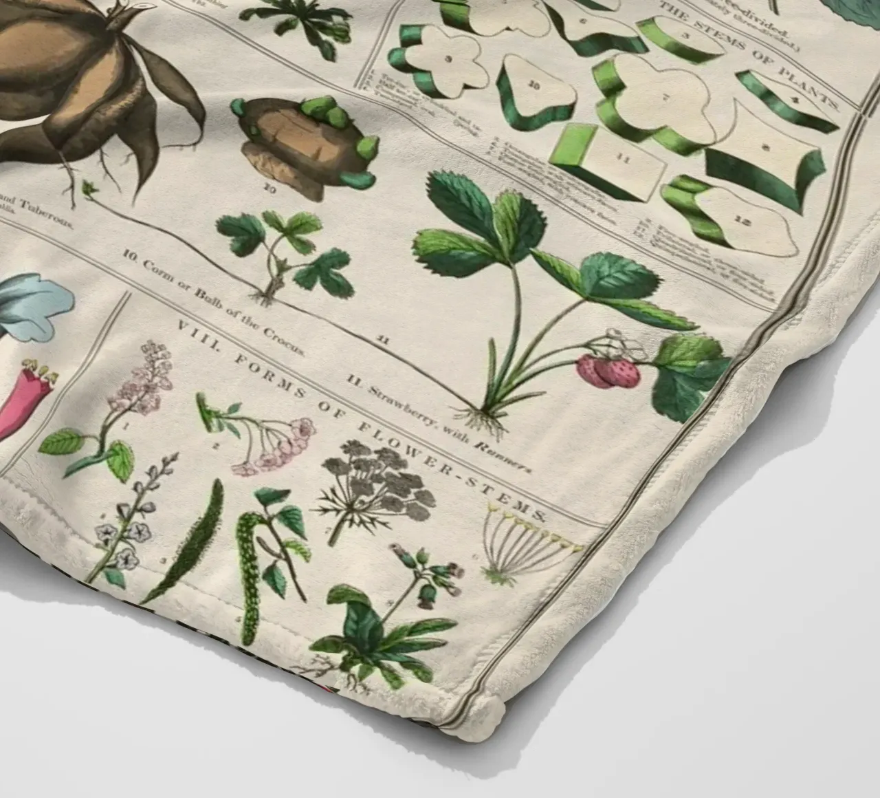 Poster botanico di piante coperta in pile da 🎁 ARTVI-SHOP
