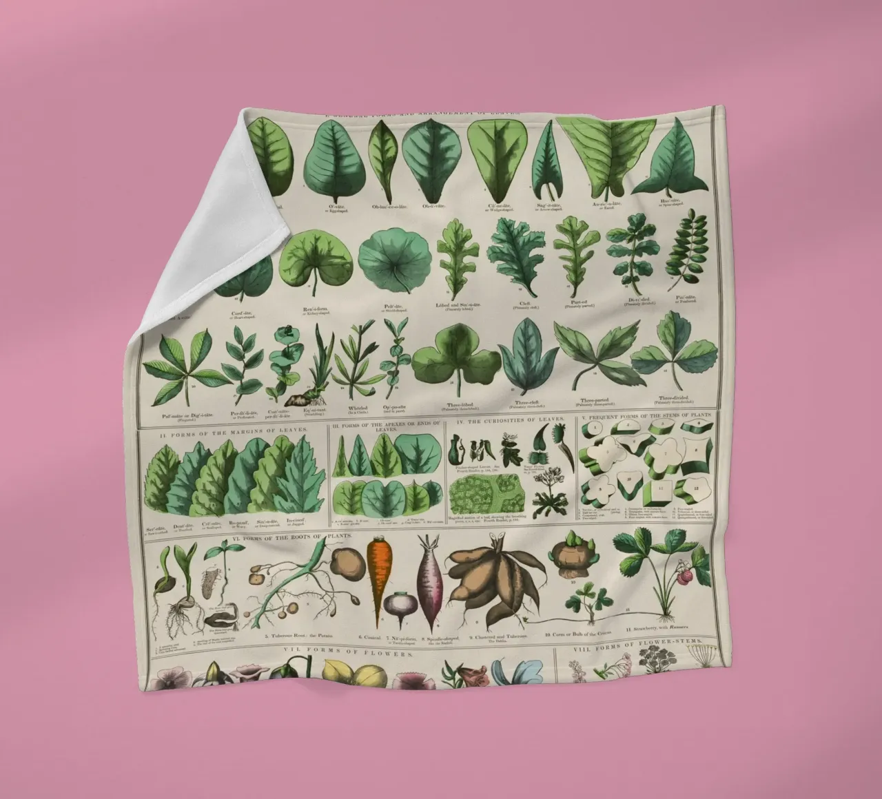 Poster botanico di piante coperta in pile da 🎁 ARTVI-SHOP