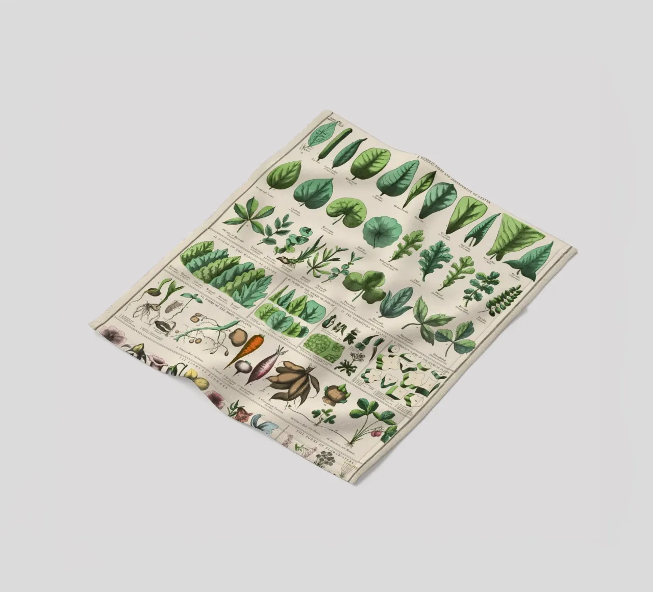 Poster botanico di piante coperta in pile da 🎁 ARTVI-SHOP