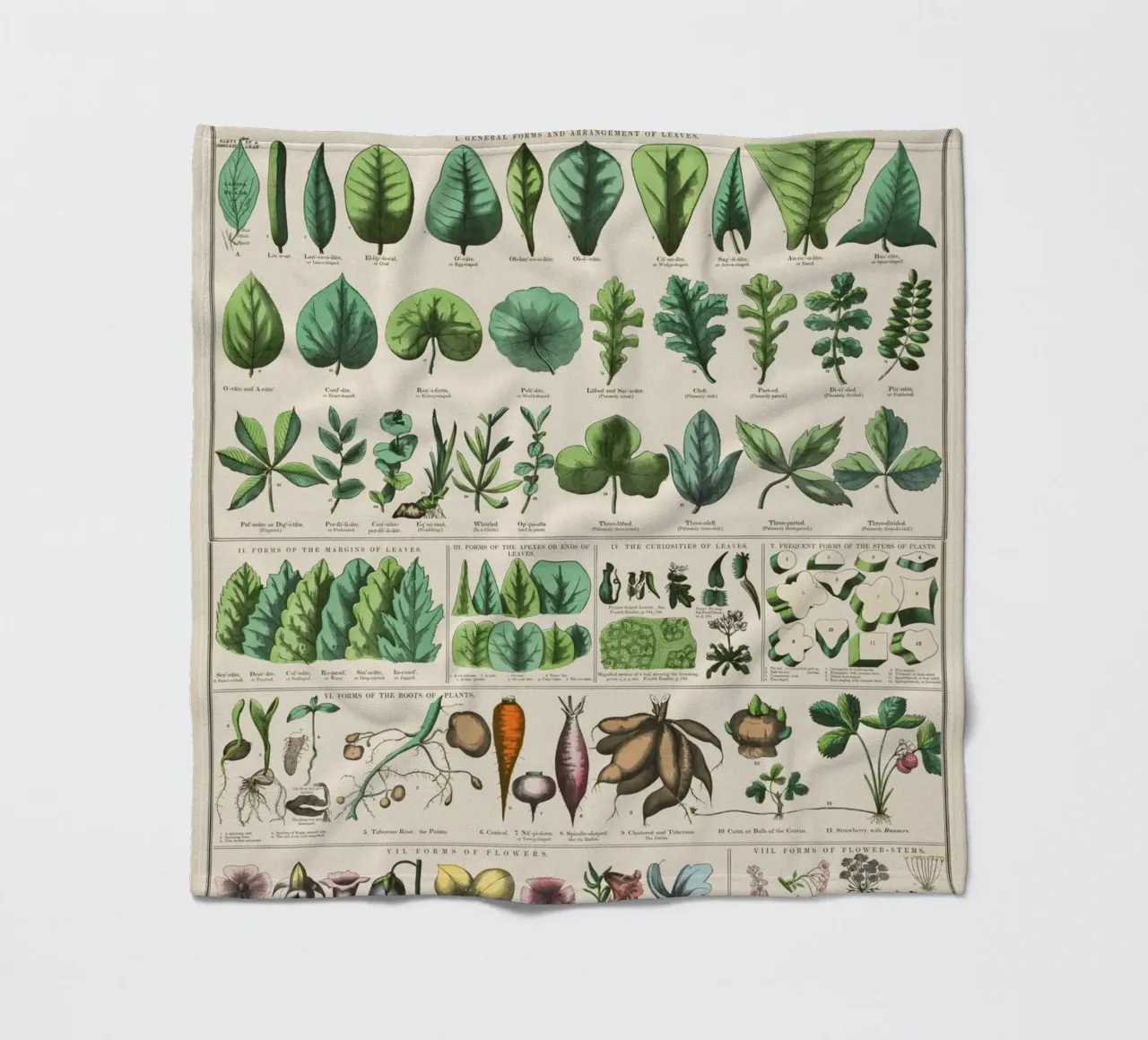 Poster botanico di piante coperta in pile da 🎁 ARTVI-SHOP