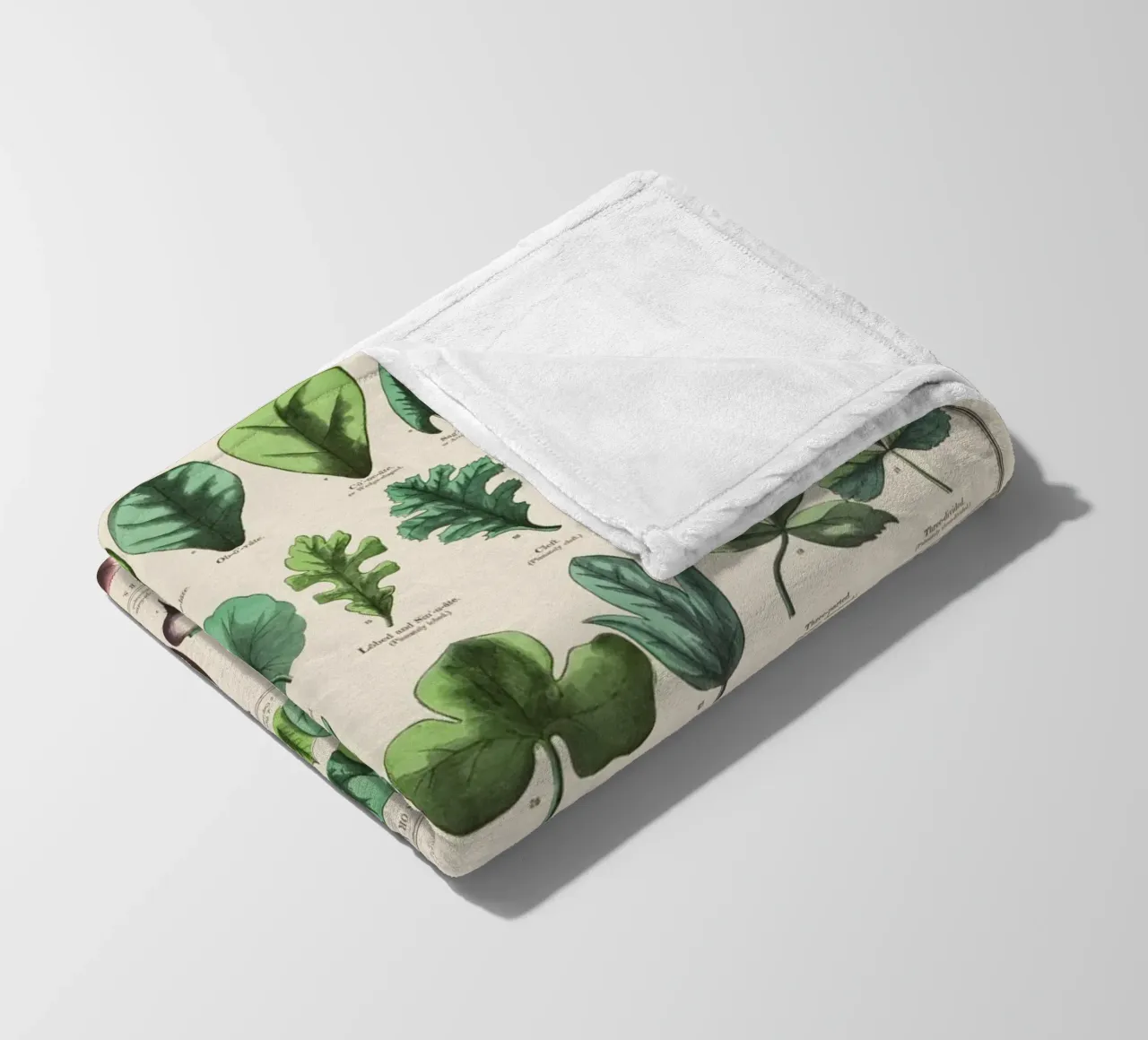 Poster botanico di piante coperta in pile da 🎁 ARTVI-SHOP