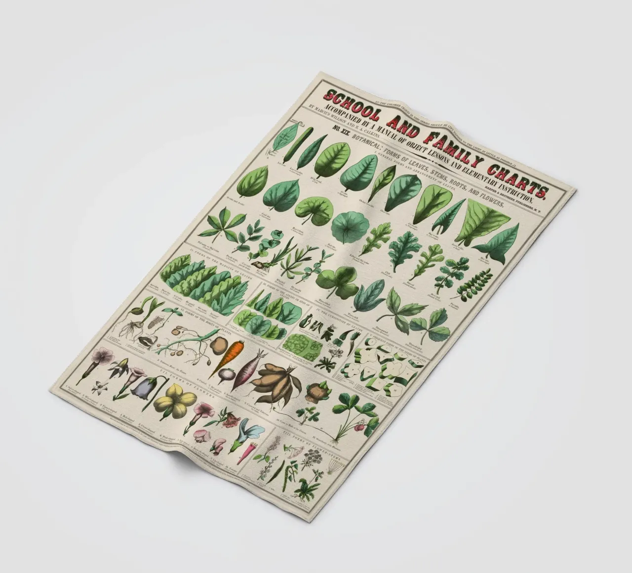 Poster botanico di piante coperta in pile da 🎁 ARTVI-SHOP
