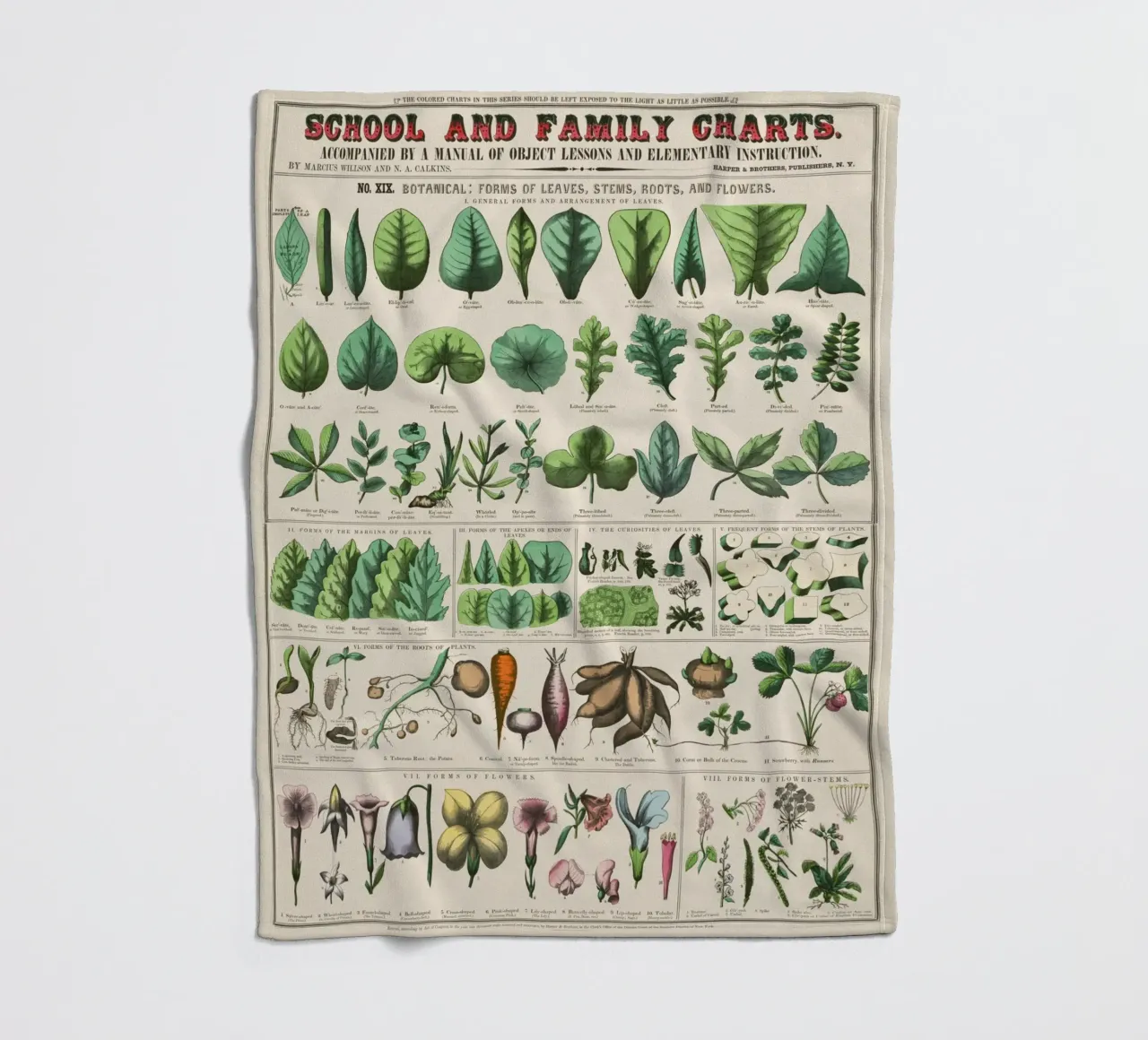Poster botanico di piante coperta in pile da 🎁 ARTVI-SHOP