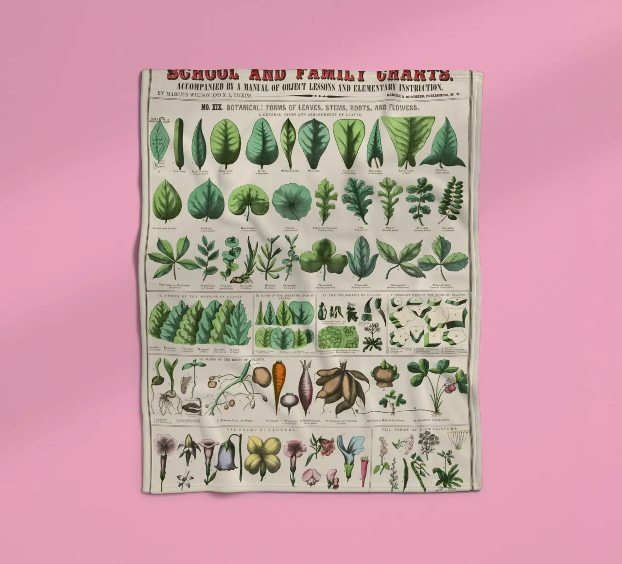 Poster botanico di piante coperta in pile da 🎁 ARTVI-SHOP