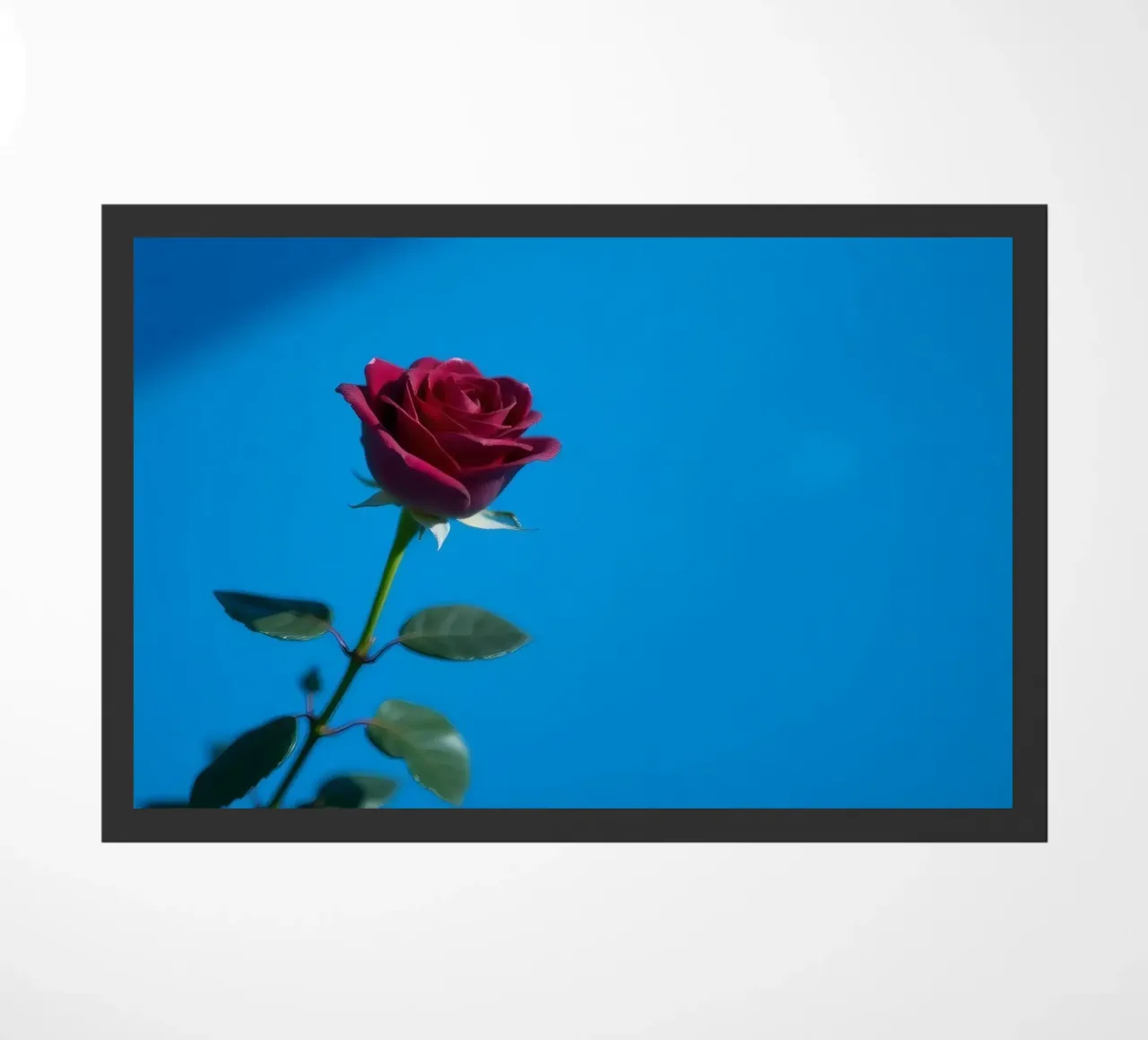 Une rose rouge vif s'épanouit sur un fond bleu vif. paillasson de DesignDoodle