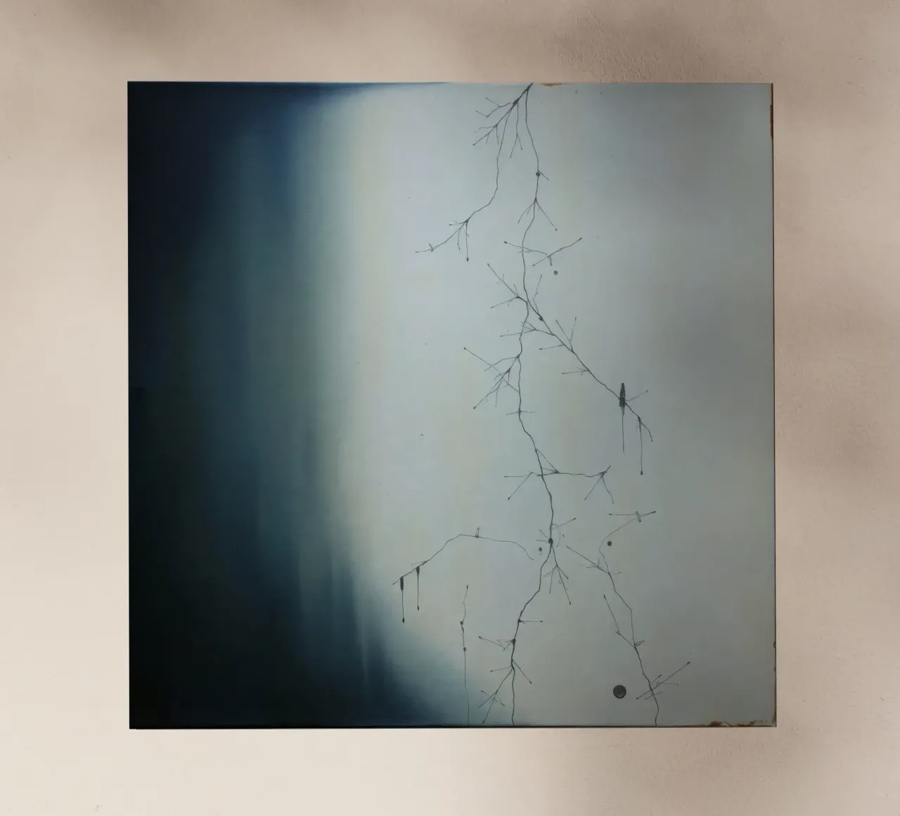 Abstract artwork depicting intricate branching patterns backlit film by DesignDoodle