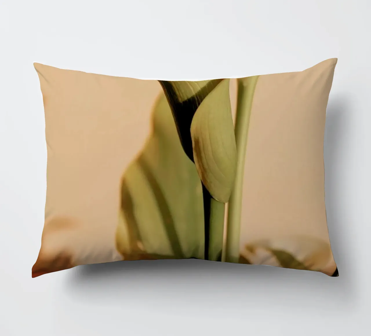 Lily in Soft Light cuscino da EyeEm Mobile GmbH