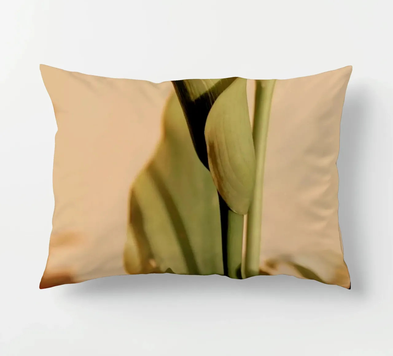 Lily in Soft Light cuscino da EyeEm Mobile GmbH