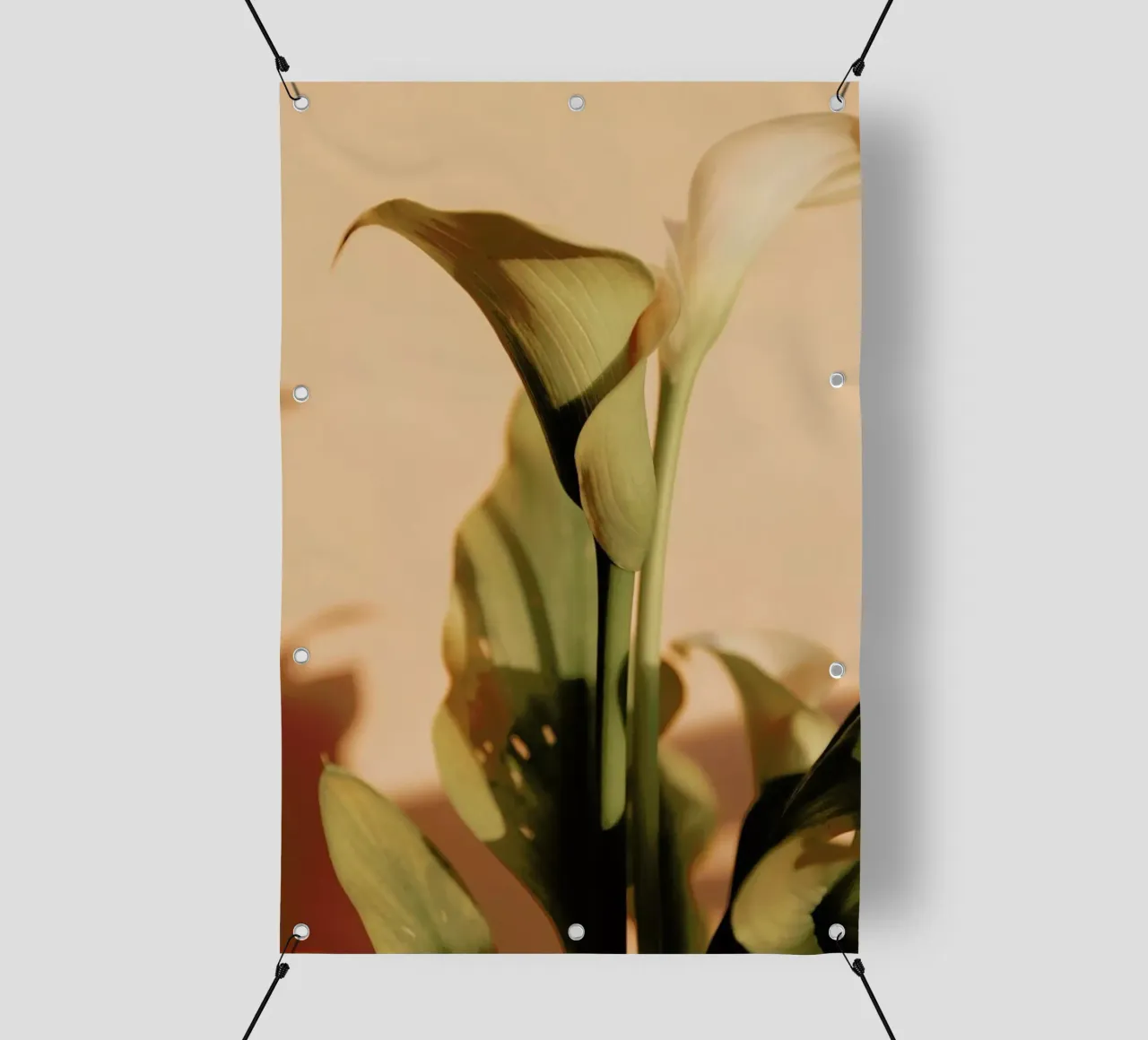 Lily in Soft Light telo in pvc da EyeEm Mobile GmbH