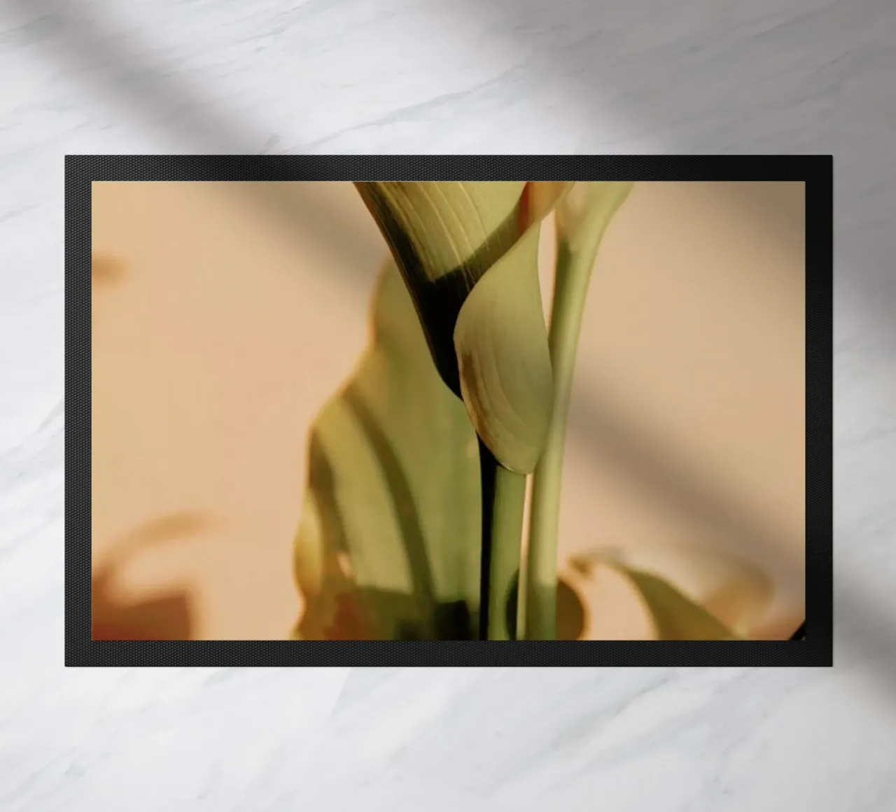 Lily in Soft Light zerbino da EyeEm Mobile GmbH