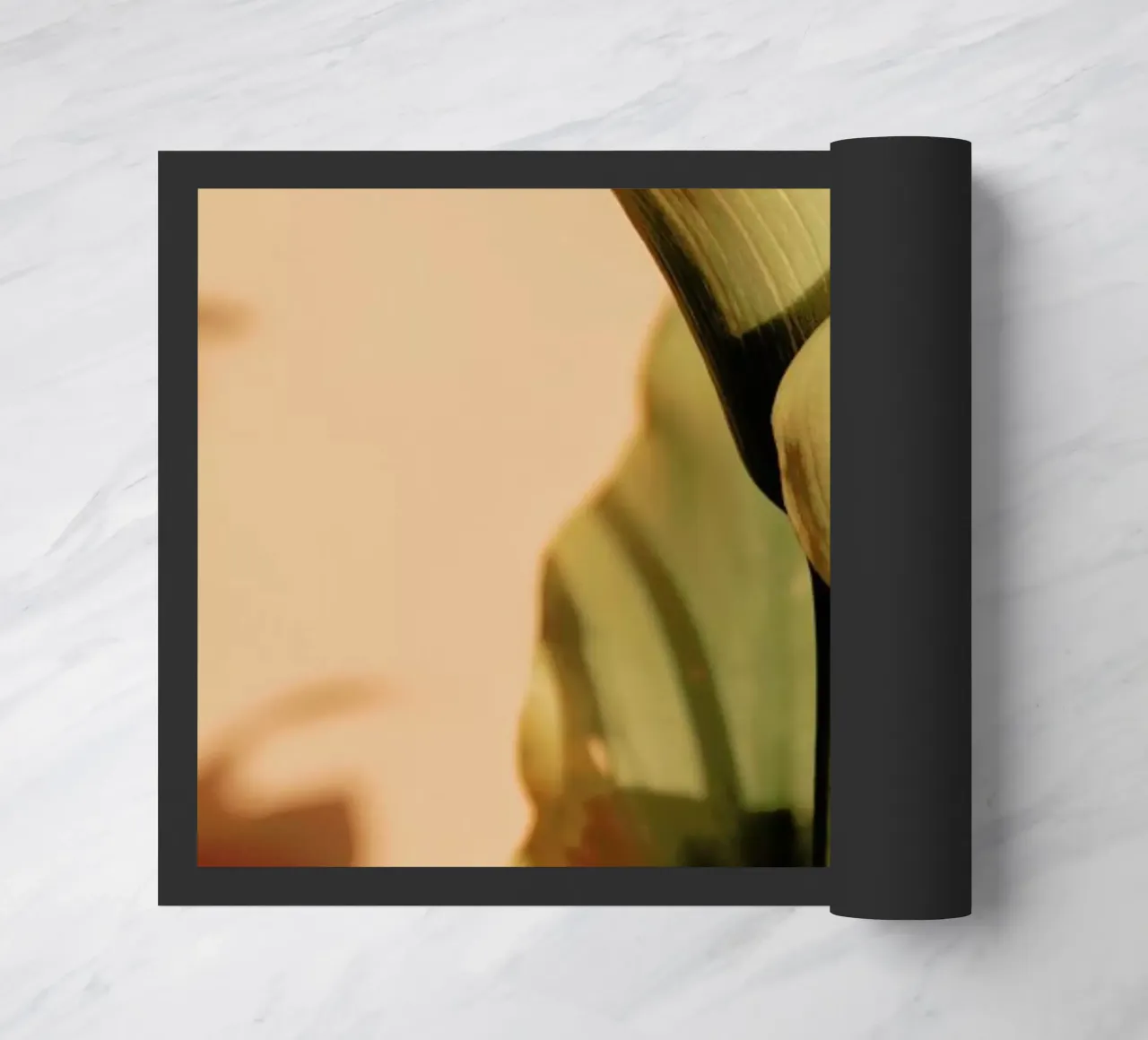 Lily in Soft Light zerbino da EyeEm Mobile GmbH