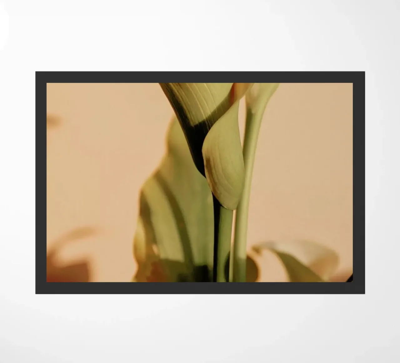 Lily in Soft Light zerbino da EyeEm Mobile GmbH