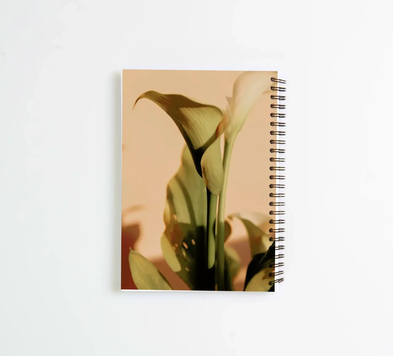 Lily in Soft Light spiral notebook by EyeEm Mobile GmbH