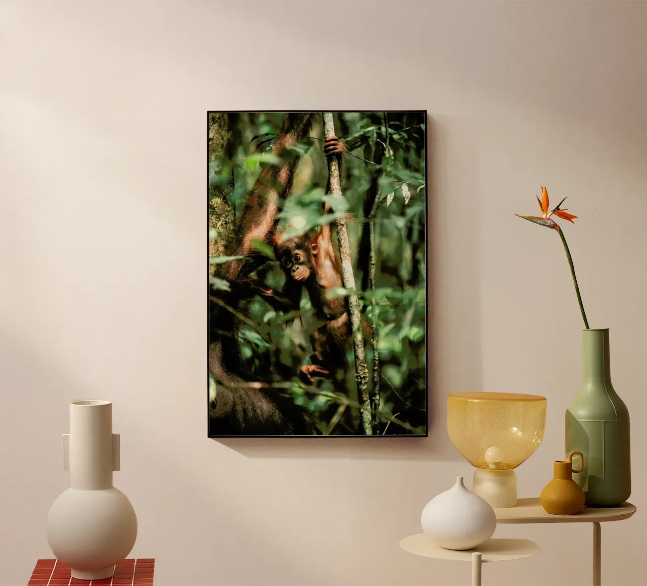 Monkey Business plexiglass da Natural Kingdom