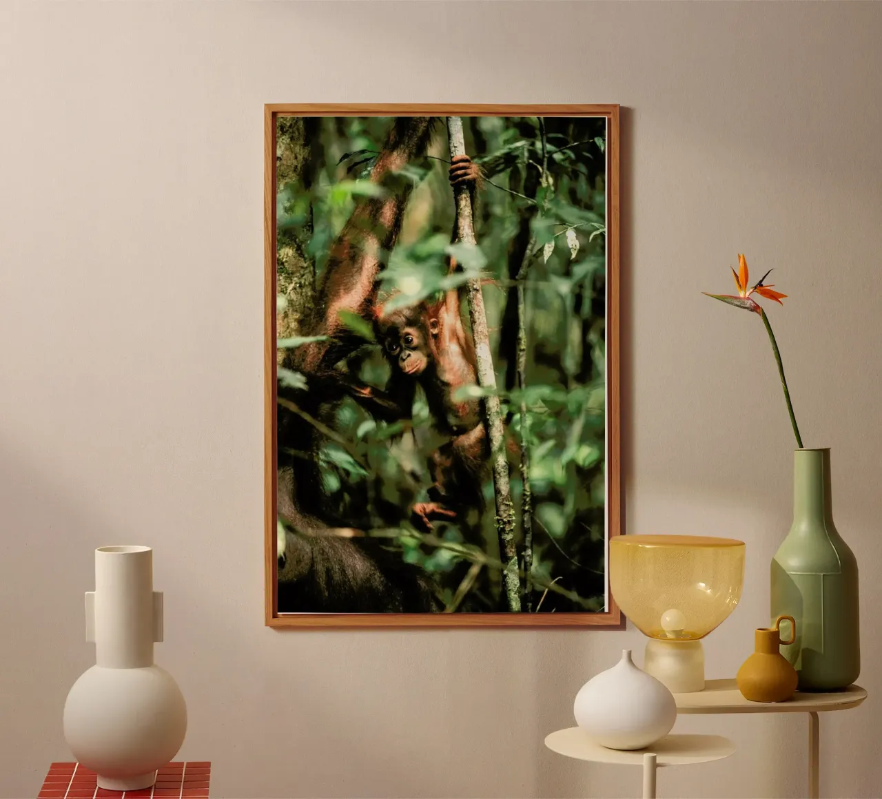 Monkey Business alluminio dibond da Natural Kingdom