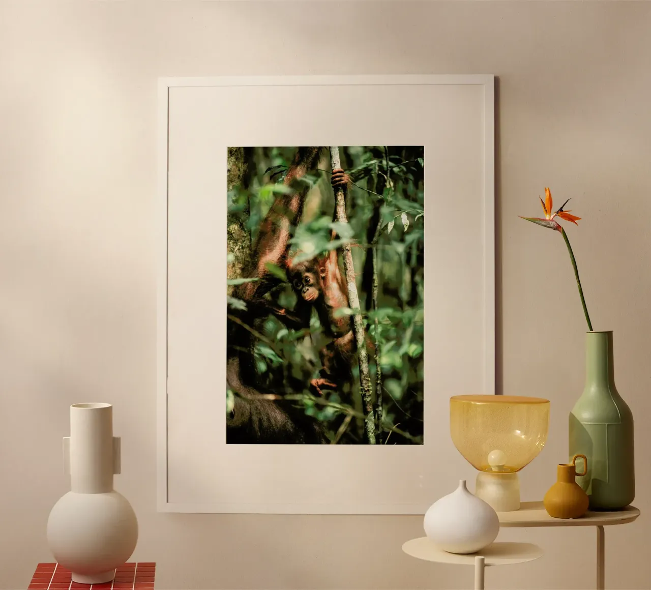 Monkey Business carta hahnemühle da Natural Kingdom