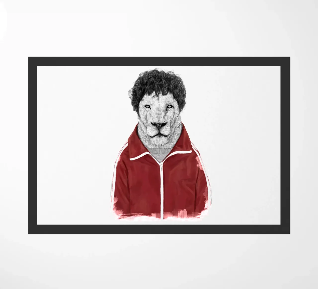 Chas zerbino da Balazs Solti