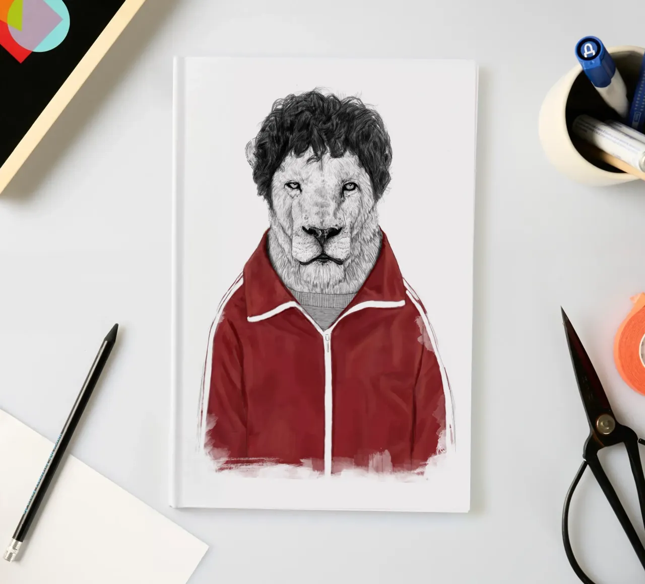 Chas notebook by Balazs Solti