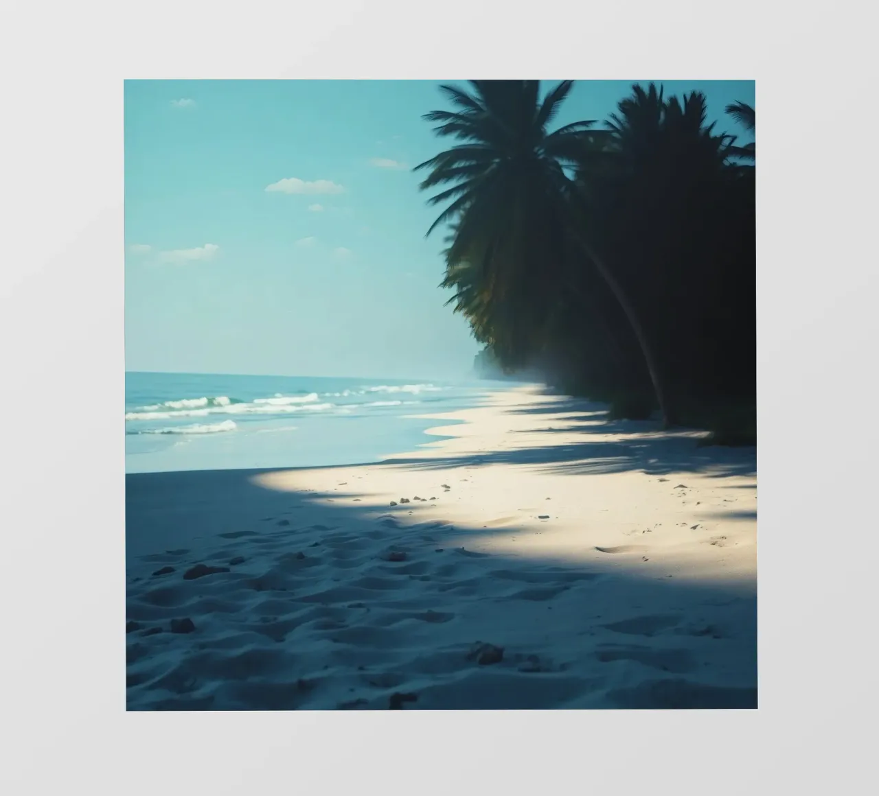Serene beach with palm trees and gentle waves under a clear photo wallpaper by DesignDoodle
