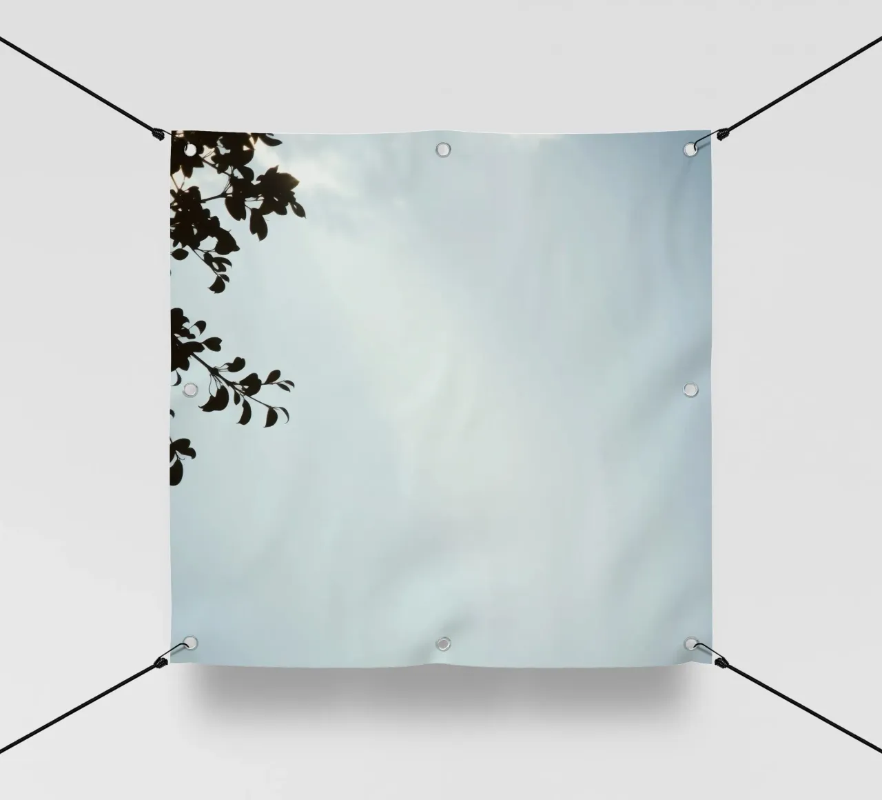 Cielo azzurro con rami frondosi in contrasto telo in pvc da DesignDoodle