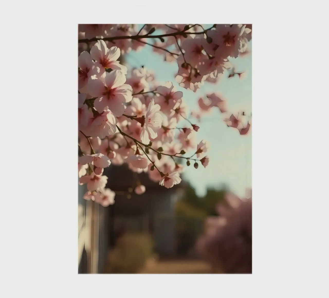 Cherry blossoms bloom in spring against a soft backdrop notebook by DesignDoodle
