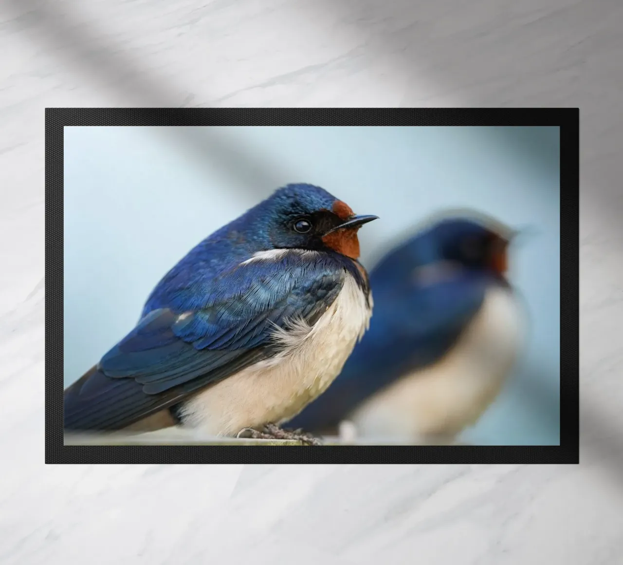 Barn swallow doormat by Tom's Wildlife