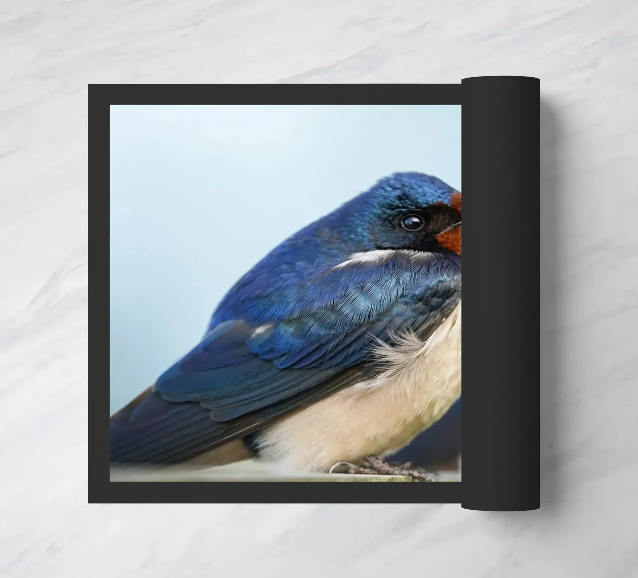 Barn swallow doormat by Tom's Wildlife