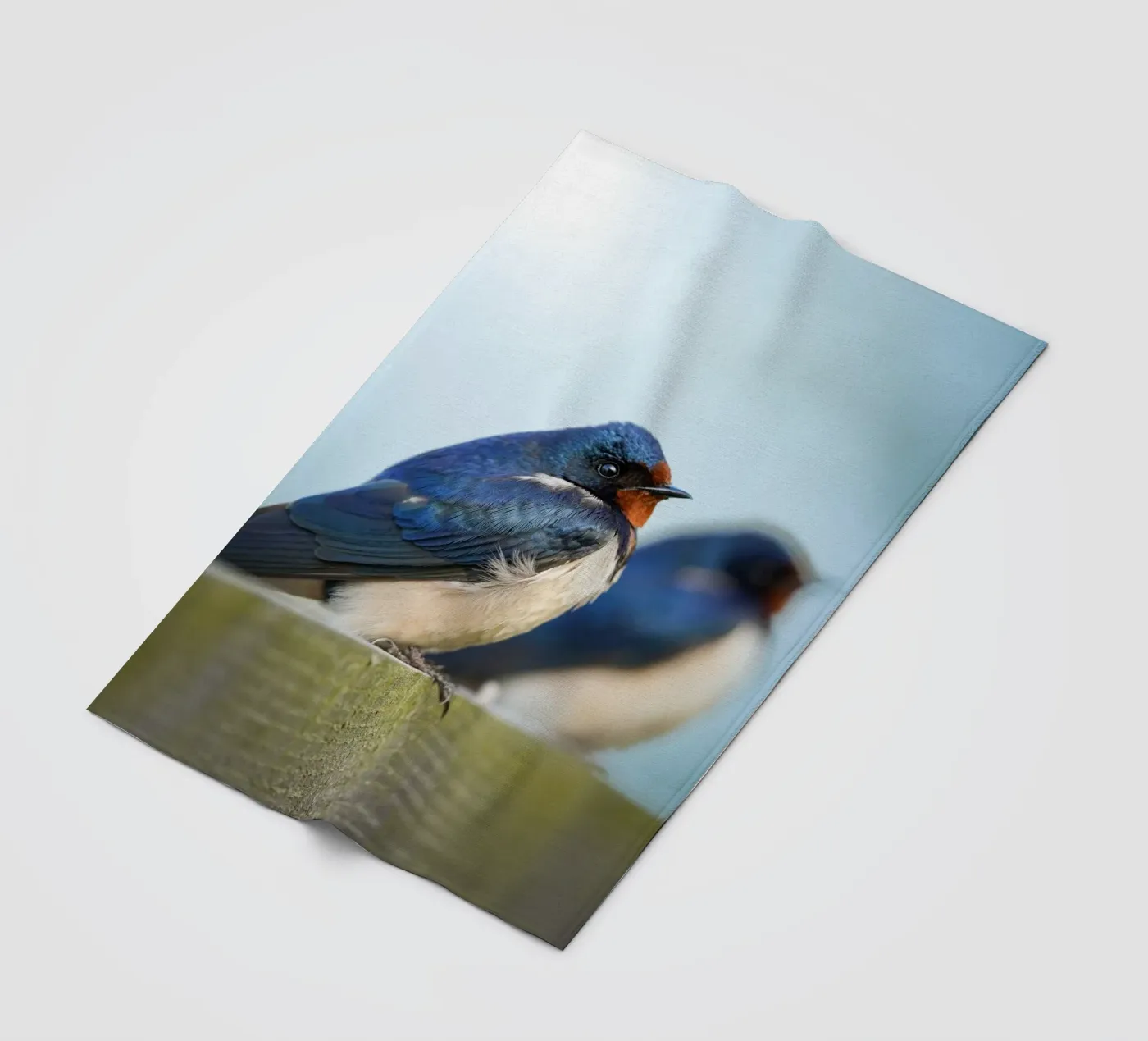 Boerenzwaluw fleecedeken van Tom's Wildlife