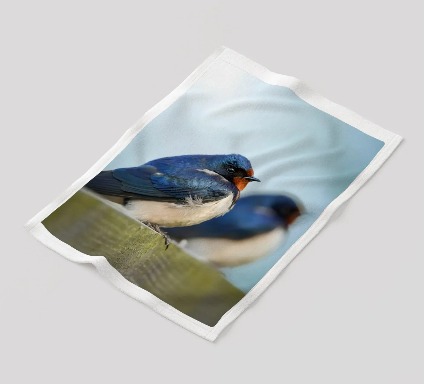 Boerenzwaluw fleecedeken van Tom's Wildlife