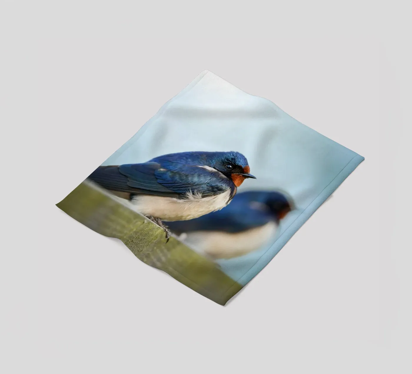 Boerenzwaluw fleecedeken van Tom's Wildlife