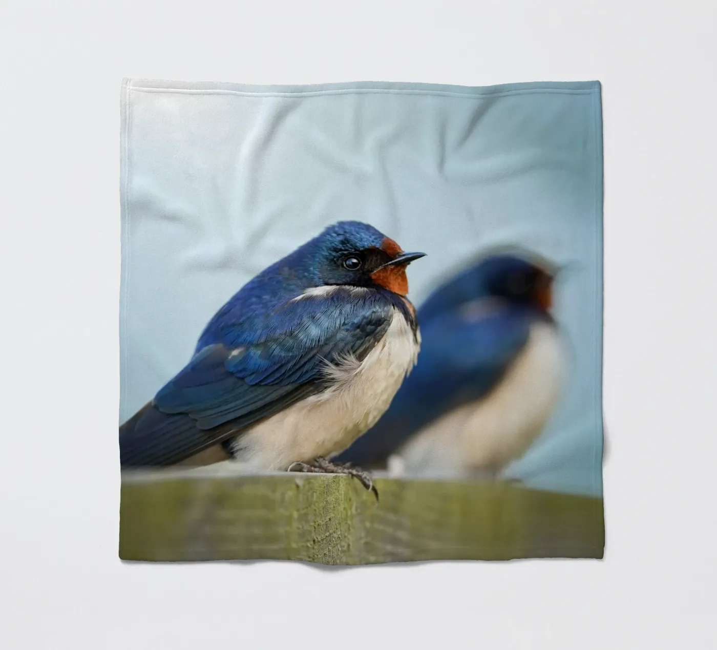 Boerenzwaluw fleecedeken van Tom's Wildlife