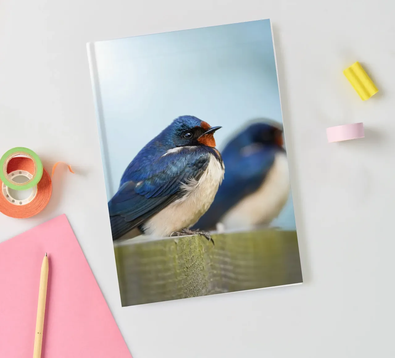 Barn swallow notebook by Tom's Wildlife