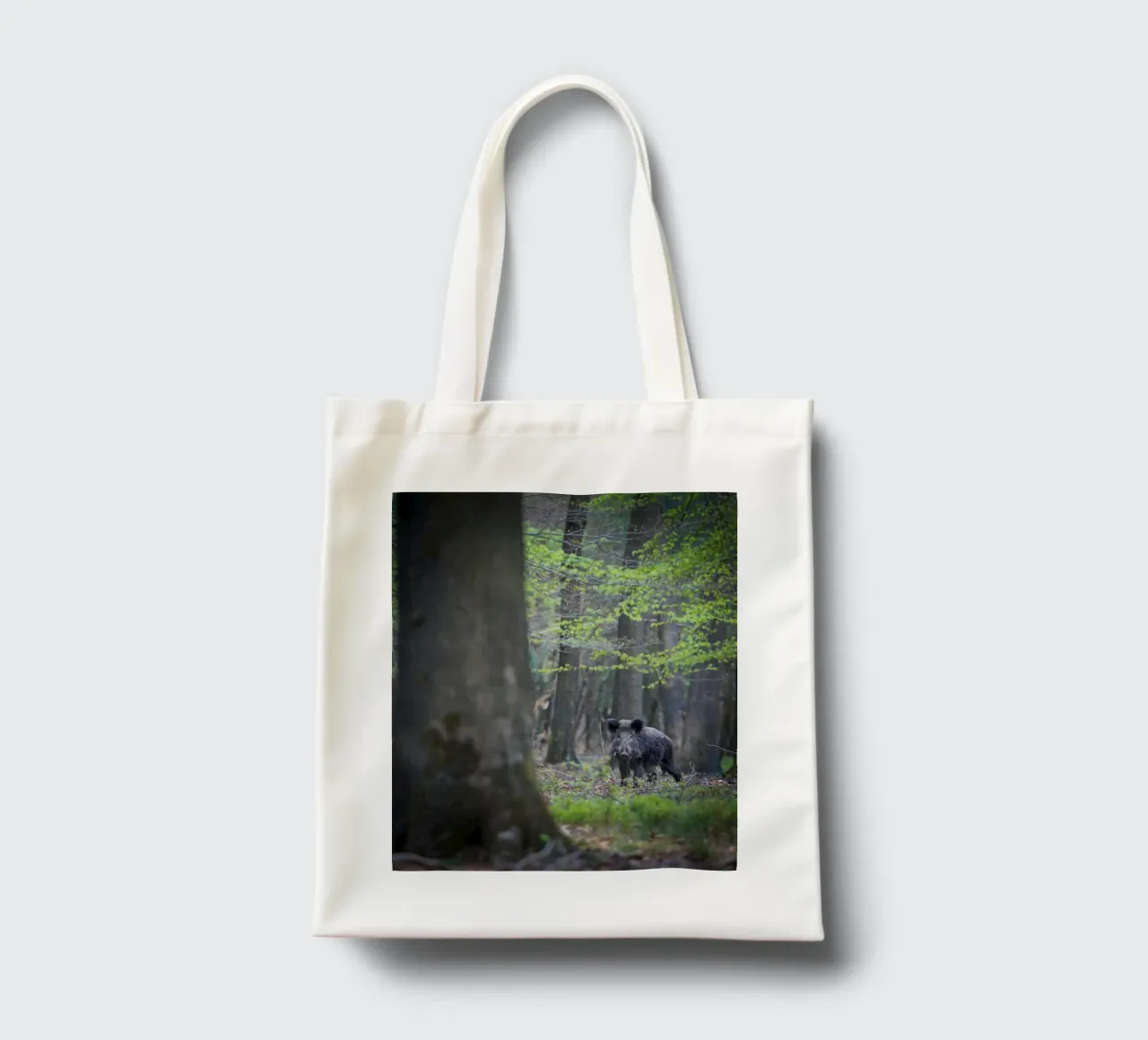 Cinghiale nella foresta borsa in juta da Tom's Wildlife