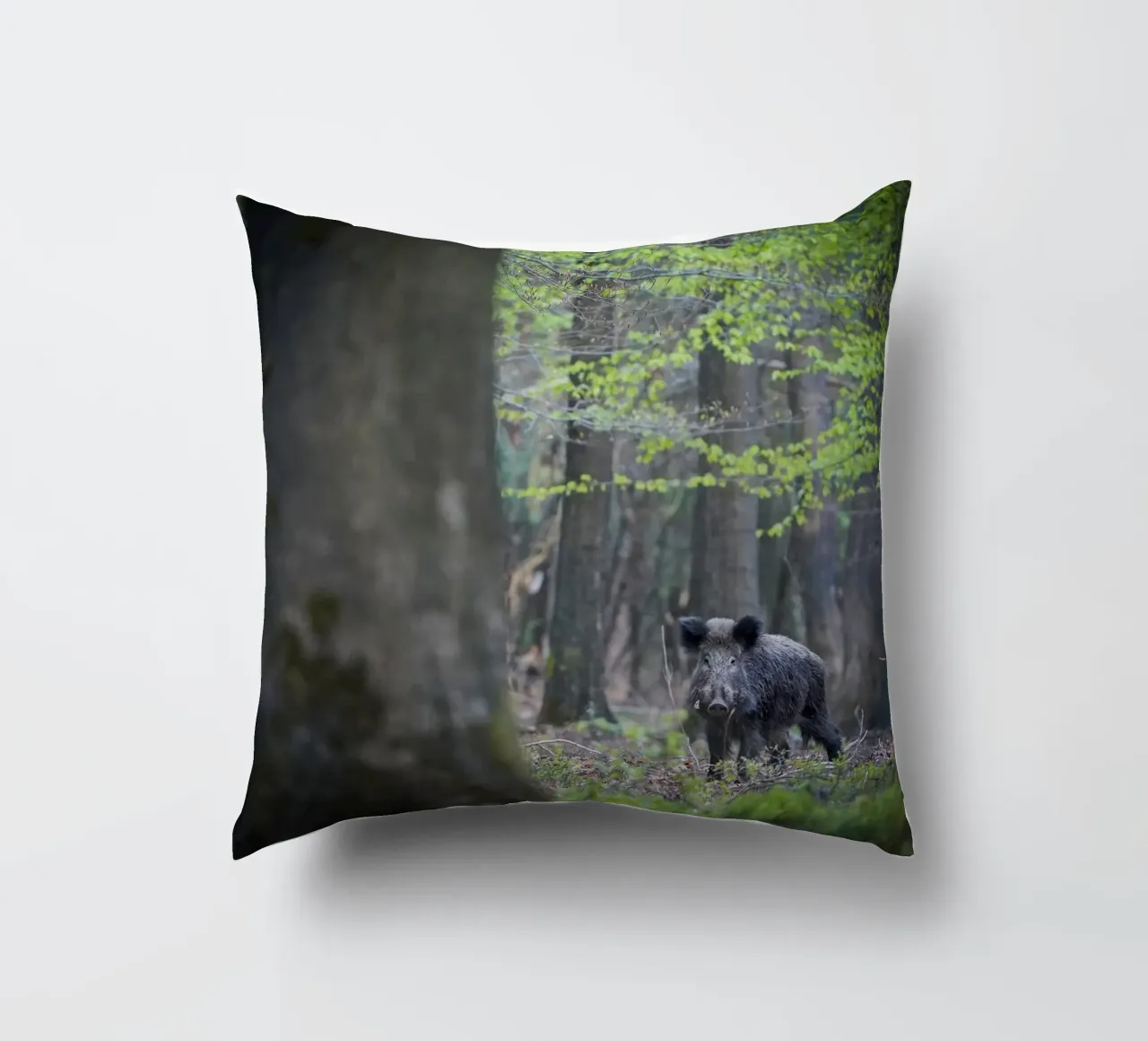 Cinghiale nella foresta cuscino da Tom's Wildlife
