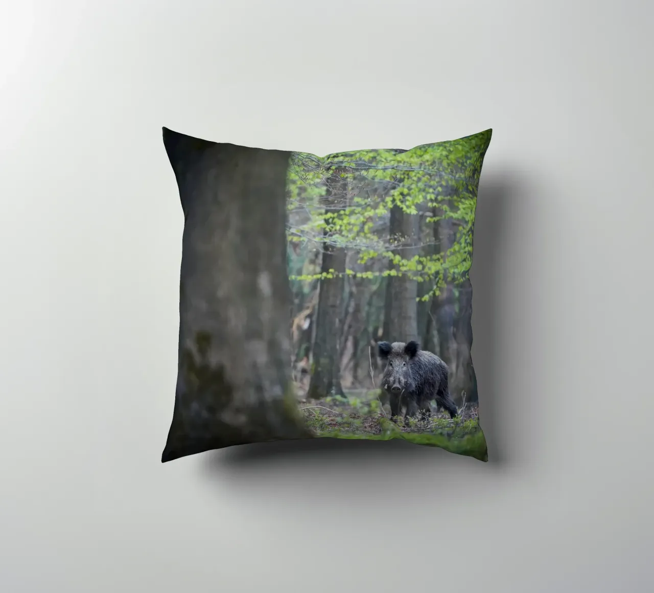 Cinghiale nella foresta cuscino da Tom's Wildlife