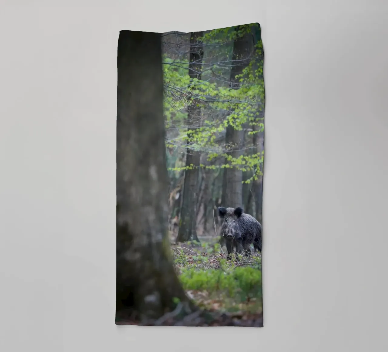 Cinghiale nella foresta asciugamano da bagno da Tom's Wildlife