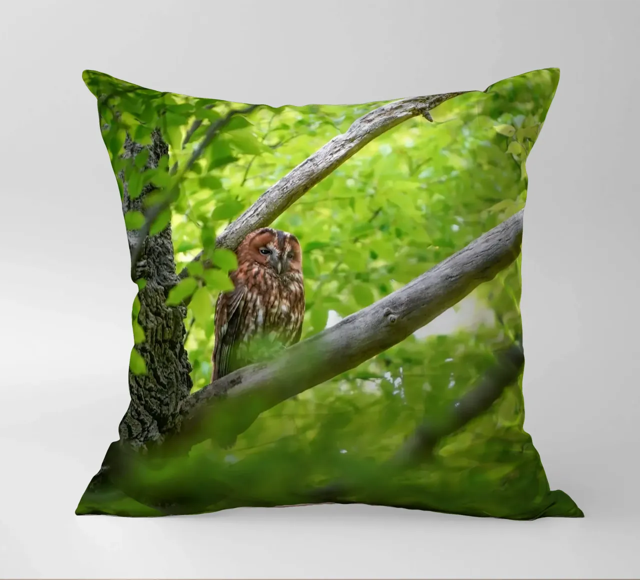 Allocco cuscino da Tom's Wildlife