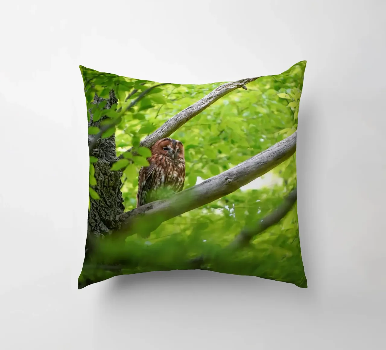 Allocco cuscino da Tom's Wildlife