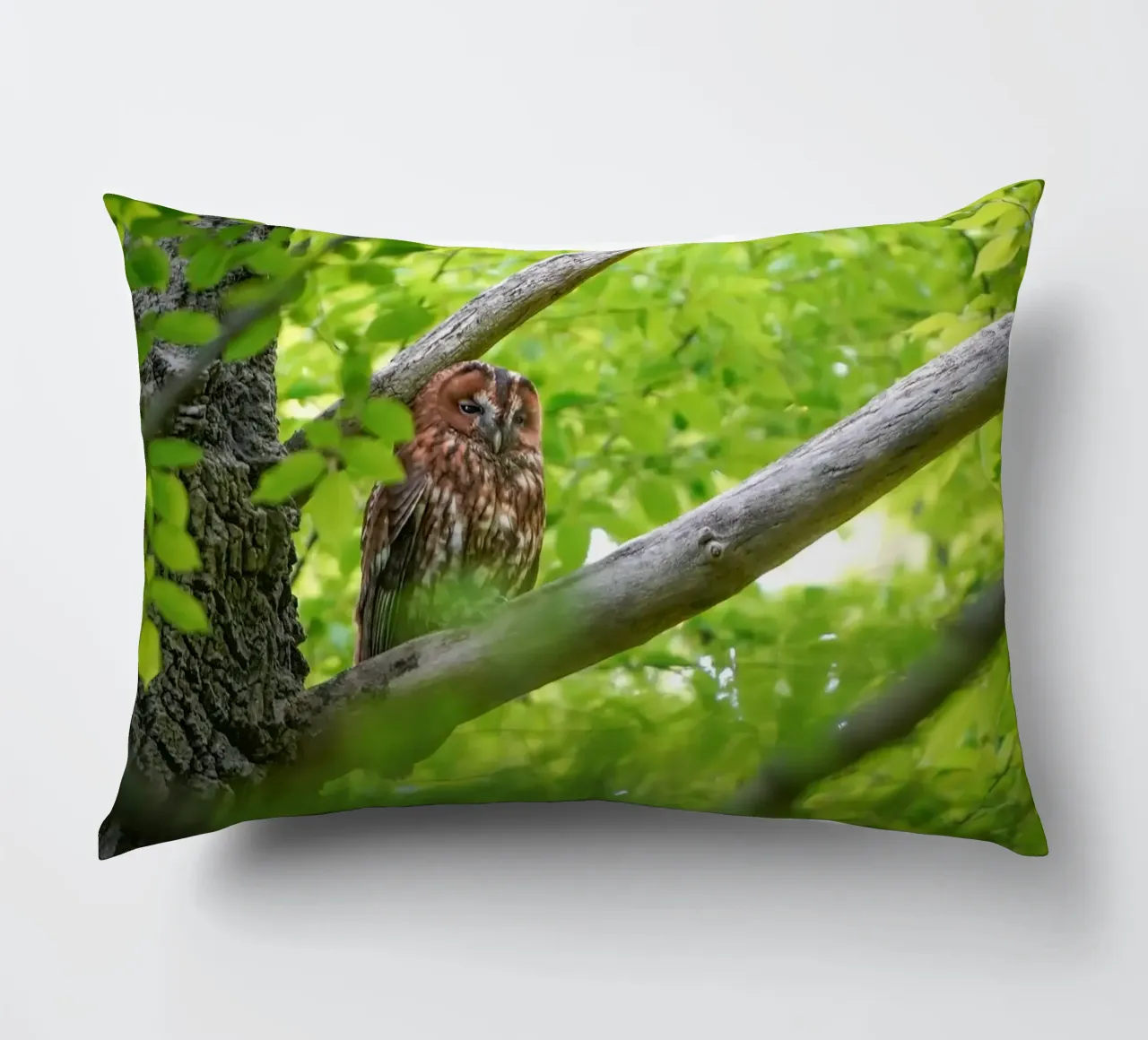 Allocco cuscino da Tom's Wildlife